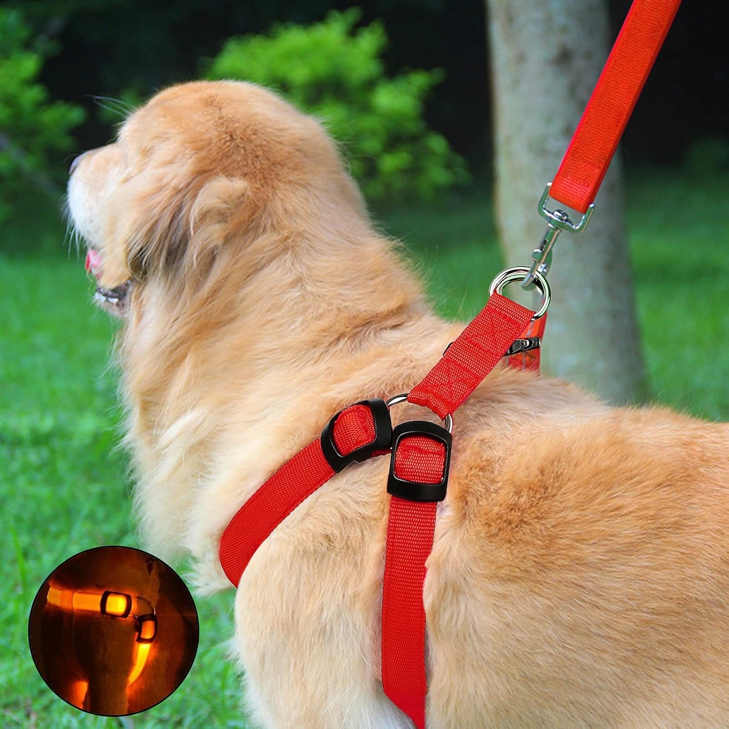 Petspace® GlowGuard Harnas