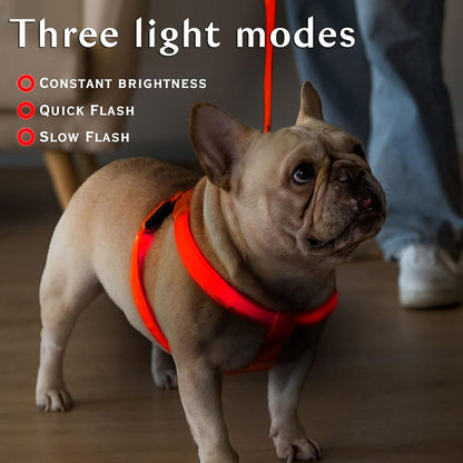 Petspace® GlowGuard Harnas