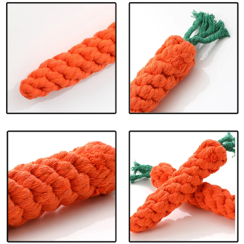 Petspace® Carrot dog toy