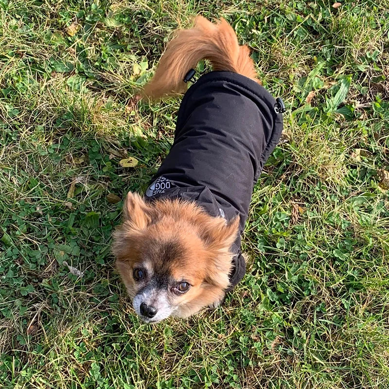 Petspace® Dog coat